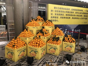 根號二 奉節臍橙的品牌敘事與幾何之詩
