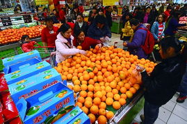 奉節臍橙喜迎上市，首日勁銷三百噸創佳績