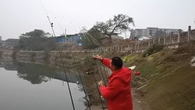 奉節臍橙，一口甜入心扉