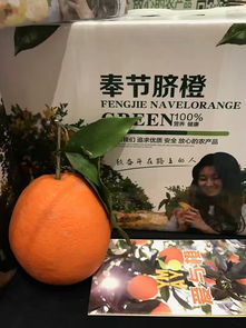 奉節臍橙全網開賣，政府出“大招” 營銷大戶最高可獲百萬獎勵