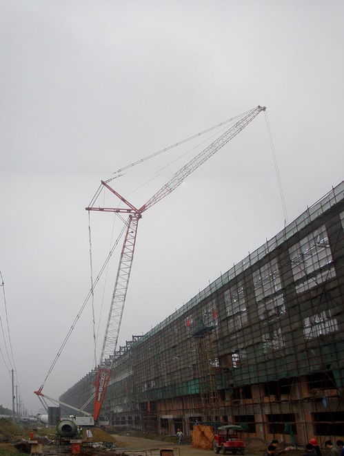 安徽瑤海鋼構助力彩虹合肥光伏三廠二標段工程 根號二工藝與奉節臍橙精神共筑精品